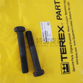 TEREX 9264851 bolt