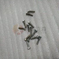 TEREX parts 15036023 SCREW
