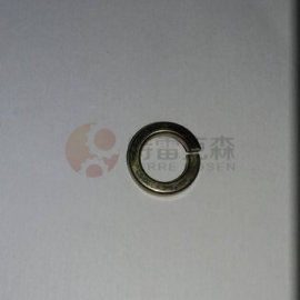 TEREX parts 15036029 SPRING WASHER