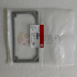 TEREX parts 206277 GASKET