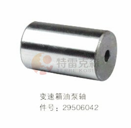 TEREX parts 29506042 SHAFT