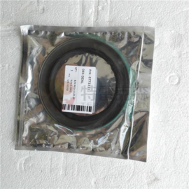 TEREX parts 6773311 SEAL