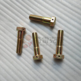 TEREX parts 9253620 BOLT