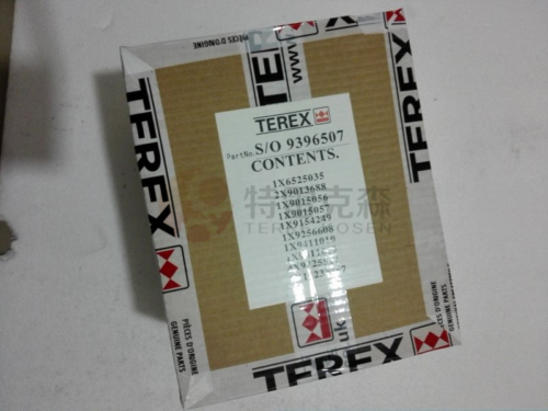 TEREX parts 9396507 KIT CYL