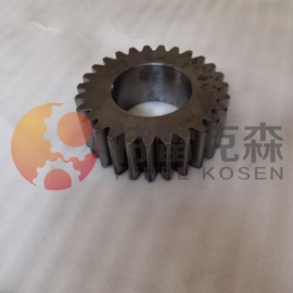 terex 15238317 gear