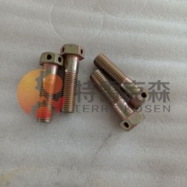 Terex Parts 9256717 Bolt FOR TR100