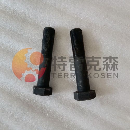 Terex Parts 15272031 Bolt FOR TR100