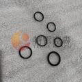 Terex Parts 15269876 SEAL KIT FOR TR100