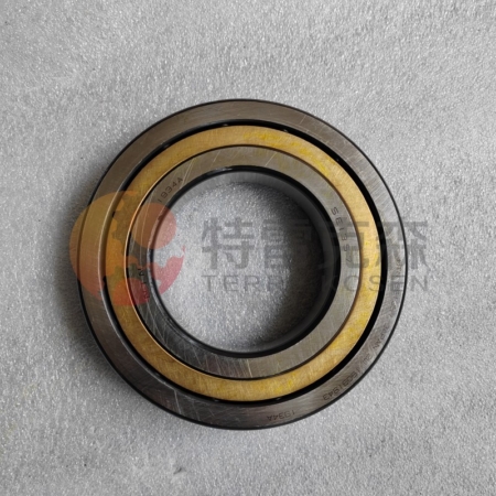Terex Parts 29507729 BEARING FOR TR60